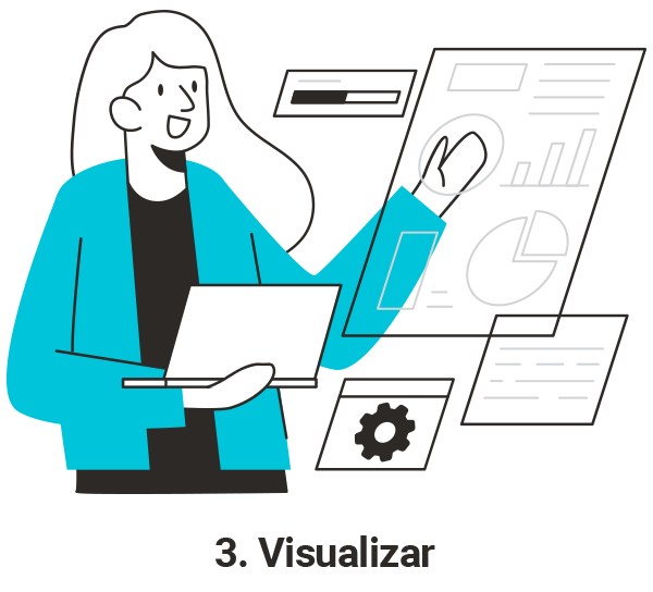 3-Visualizar